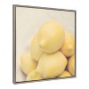 Kate and Laurel Sylvie Lemons Framed Canvas by Emiko and Mark Franzen of F2Images, 30x30, Gray - 2 of 4