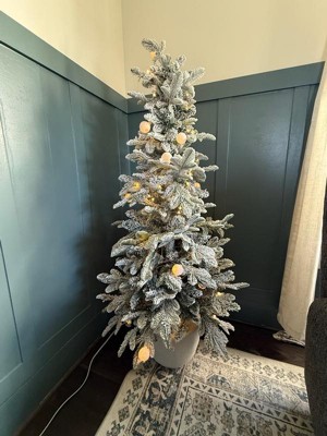 Guest review image 1 of 2, zoom in