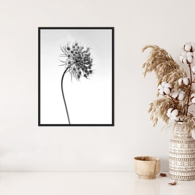 Black and White Botanical Lithograph Canvas Print with Black Frame