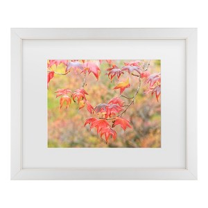 Trademark Fine Art - Beata Czyzowska Young Falltime In My Garden Matted Framed Art - 1 of 4