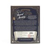 Professor Puzzle USA, Inc. Sherlock Holmes The Case of the Secret Society Maze Puzzle - 3 of 4