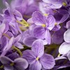 Sullivans Artificial Purple Cone Hydrangea Spray 34"H - image 2 of 2