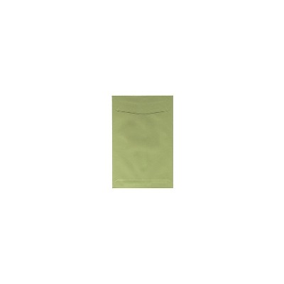 JAM Paper 6 x 9 Open End Catalog Envelopes Olive Green 10/Pack 31287526C