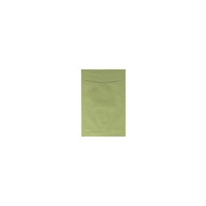 JAM Paper 6 x 9 Open End Catalog Envelopes Olive Green 10/Pack 31287526C - 1 of 1