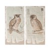 AZL1 Life Concept Wall Art 2 Piece Lilith Owl Prints Distressed Look Rectangle Animal Hanging for Modern Home Decor, Brown, 40.2"*3.7"*20.7" - 2 of 4