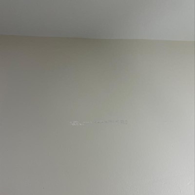Guest review image 1 of 1, zoom in