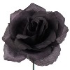 Floral Home 8" Pick Black Rose - 50-Piece - 2 of 4