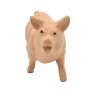 Collectible Wildlife Gifts | Pig, Sow Realistic Small Toy Model Plastic Replica Barn Farm Animal, Kids Educational Gift  2"  F4154 B140 - 2 of 4