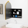 Wooakway 1/2-Pack Ornate Arch Metal Medicine Cabinet with Adjustable Shelves Recessed Wall Cabinet Wall Mounted Bathroom Storage Cabinet Mirror Gold - 3 of 4