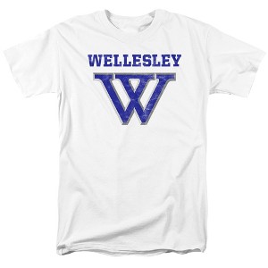 Men's Wellesley College Official Distressed Primary Logo T-Shirt - 1 of 4