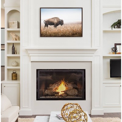 American Bison Buffalo in Prairie Grass Framed Canvas Wall Art