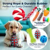 Pacific Pups Products 18 Pack Dog Chew Toys - Dog Plush Toys, Squeaky Dog Toys, Dog Tug Toys - 4 of 4