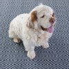 Annie Selke - Dash & Albert Diamond Navy/Ivory Handwoven Indoor/Outdoor Rug - 3 of 4