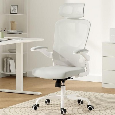 NicBex Ergonomic Mesh Office Chair,Home Office Desk Chair with Flip-Up Arms,Adjustable Lumbar Support,Desk Chair with Headrest for Study Room