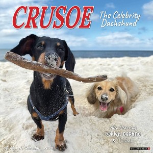 Willow Creek Press 2026 Crusoe the Celebrity Dachshund Wall Calendar - 1 of 4