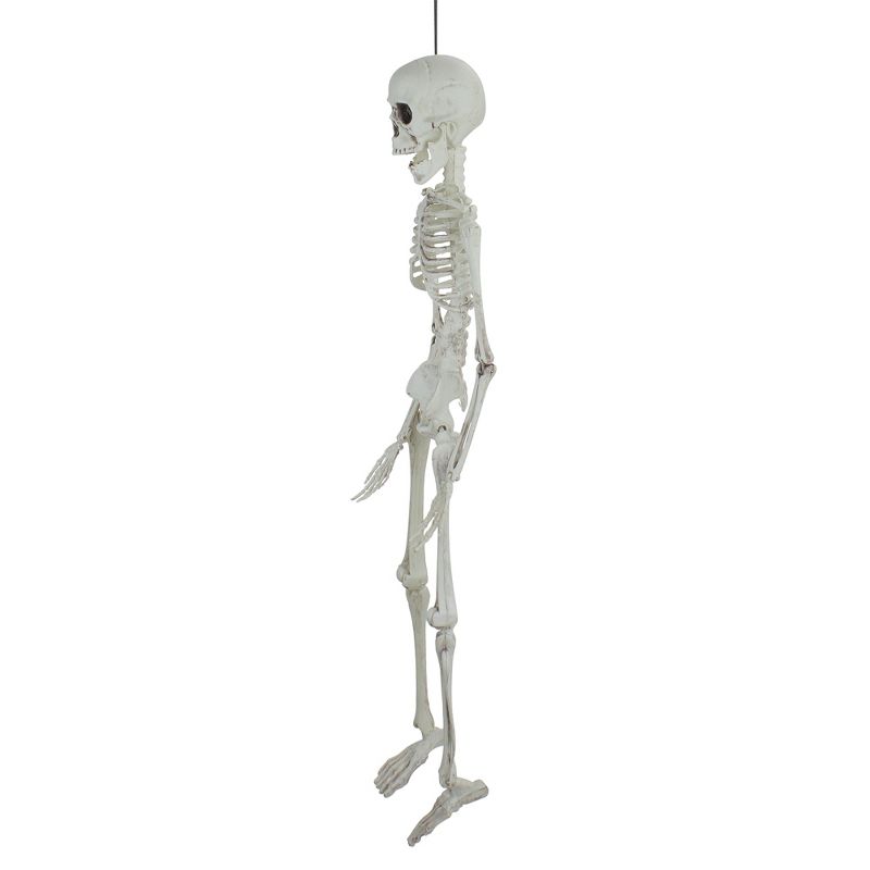 Northlight 20" Jointed Skeleton Hanging Halloween Decoration, 2 of 5