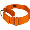 Country Brook Petz 1 1/2 Inch Martingale Heavyduty Nylon Dog Collar - 2 of 4