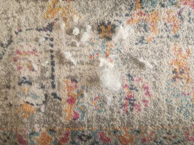 Guest review image 1 of 2, zoom in