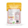 Nature's Turn Freeze-Dried Fruit Snacks - Strawberry & Banana Crisps - 34g (1.20oz) - 6-PACK - 3 of 4