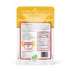 Nature's Turn Freeze-Dried Fruit Snacks - Strawberry & Banana Crisps - 34g (1.20oz) - 6-PACK - image 3 of 4