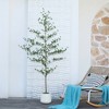 DR.Planzen 84" Artificial Olive Tree - 7FT UV Resistant Fake Plant with Black Fruits in 10.5" White Pot for Indoor/Outdoor Floor & House Decor - 4 of 4