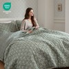 3-Piece King/Cal King 3 Piece Ruffle Printed Quilt Set,Sage Green - 3 of 4