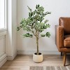 Syemin Artificial Plants Artificial Ficus Tree with Pot Indoor Outdoor Faux Potted Plant Artificial Plants for Home Decor Chr, Green, 31"*31"*51" - 4 of 4