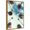 16" x 23" Palm Sky 2 by Design Fabrikken Framed Canvas Wall Art - Amanti Art: Modern Decor, Polystyrene Frame, Nature Lithograph - 2 of 4