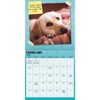 Trends International 2025 Guilty Dog Wall Calendar: Monthly Planner, 12x12 Inches, Multicolored, Saddle Stitch Binding - 3 of 4