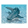 Jupiter Creations, Inc RoboWhaleShark 2.4G Remote Control Water Toy - 2 of 3