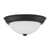 Quoizel Lighting Erwin 2 - Light Flush Mount in  Matte Black - 2 of 4