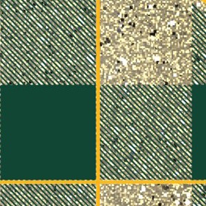 baylor bears