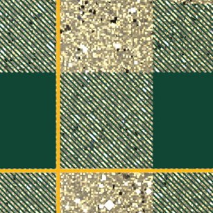 baylor bears