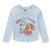 Paw Patrol Nickelodeon Skye And Everest Girls Long Sleeve Shirt And Twill Skirt Set For Toddler And Big Kids - Size 2T - 2 of 4