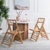 Maja Rattan Folding Chair (Set of 2) - SEA7042 - Safavieh - 4 of 4