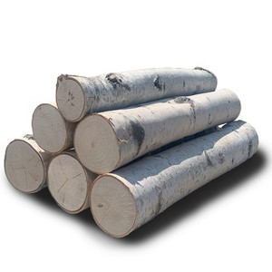 Wilson's Decorative White Birch Log Bundle - 18" Length - 1 of 3