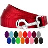Country Brook Petz 6ft By 1 Inch Heavyduty Doublehandle Nylon Leash - 4 of 4