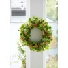 Mixed Seeded Foliage Wreath 24"D - 3 of 3