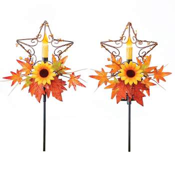 Collections Etc Solar Powered Floral Autumn Garden Stake : Target