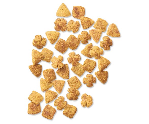 Purina Dog Chow Natural Plus Vitamin and Minerals Dry Dog Food - 16.5lbs