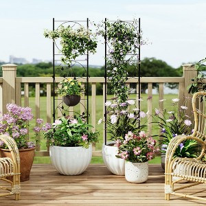 Black Metal Trellis for Climbing Plants - Heavy Duty Rustproof Garden Trellis for Roses, Vines & Vegetables - Indoor/Outdoor Plant Support - 1 of 4