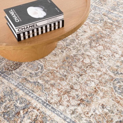 Arias Gray and Beige Washable Polyester Area Rug