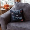 Fun World Trick Or Treat 18 Inch Halloween Pillow Cover - 2 of 3