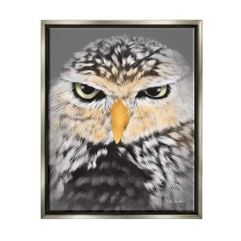 Stupell Industries Owl Wildlife PortraitFloater Canvas Wall Art