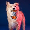BARK Netflix Stranger Things DemorGoFetch Ball Dog Toy - image 2 of 4