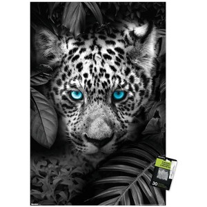 Trends International Reinders: Animals - Blue Eyed Leopard Unframed Wall Poster Prints - 1 of 4