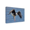Trademark Fine Art Jun Zuo  Bald Eagle Catching a Big Fish Canvas Wall Art - 4 of 4