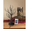Department 56 Department 56 Village Halloween LED Fiber Optic Twinkle Branch Tree - Black - 6014718 - 2 of 4