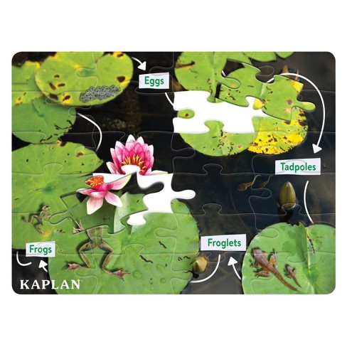 Kaplan Early Learning STEM Learning Frog Life Cycle Floor Puzzle from Egg to Frog - 24 Pieces - image 1 of 3