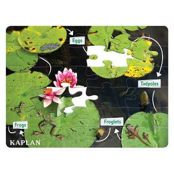 Kaplan Early Learning STEM Learning Frog Life Cycle Floor Puzzle from Egg to Frog - 24 Pieces